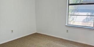 South Austin Stunner Gallery 13
