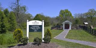 1029 Milson Lane - 1 Gallery 18
