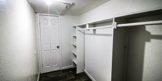 Spring Pine Gallery 34