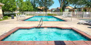 Olympus at The District Gallery 41