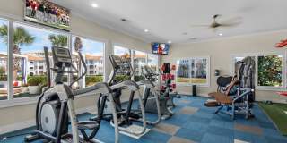 Terra Mar Gallery 29