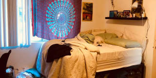 6 Bedroom 3 Bath- Large rooms, AC Gallery 9