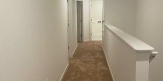 3226 Penny Cove Drive Gallery 3