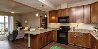 Sierra Pointe Gallery 11