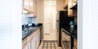 Latitude 40 Gallery 8