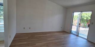 3bd/2ba Single Story, Fresh Updates, Huge Backyard Gallery 13