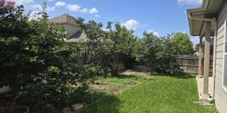 2738 Cinnamon Teal Gallery 17