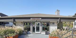 Arrive Bellevue Gallery 49