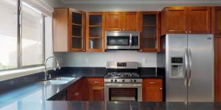 Vista Paradiso Gallery 23