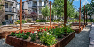 Villas at the Gardens Gallery 52