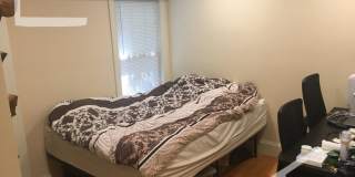 Newly Renovated 4-bed, 2-bath Townhouse in Allston Gallery 6