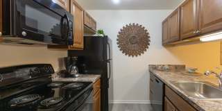 The Meadows Gallery 14