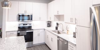 Magnolia at West Lemmon Gallery 29