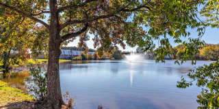 Newport Lake Gallery 25