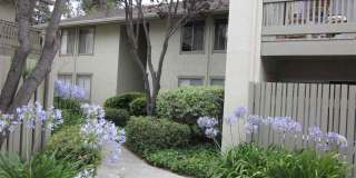 2 Bed 2 Bath Condo In Walnut Creek Gallery 3