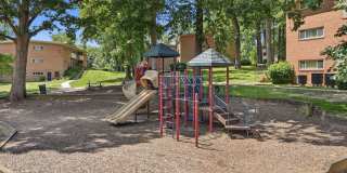 Glenmont Forest Gallery 37