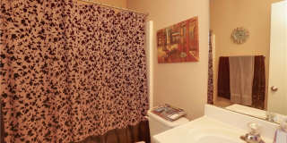 2317 Tropical Wind Drive Gallery 9