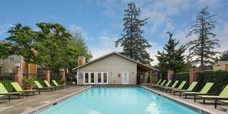 Carriage Park Gallery 20