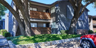 Custer Park Gallery 6