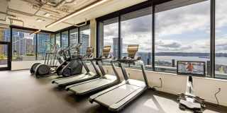 The Confidential The Confidential Gallery 46