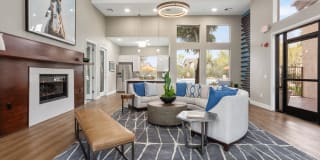 Kota North Scottsdale Gallery 13