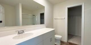6234 FIELDRUN Gallery 15