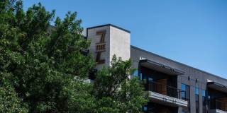 The Zenith Gallery 7