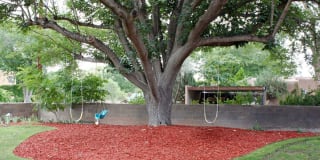 The Q @ Bosque Trails Gallery 24
