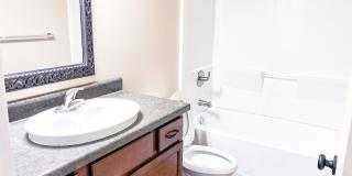 The Jackson Gallery 18