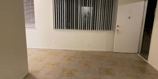 Maple 2 Gallery 13