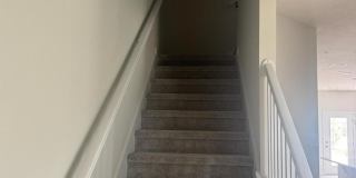 564 POTHOS Street Gallery 8