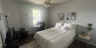 Beautiful Westchase Rental – Prime Location Gallery 21