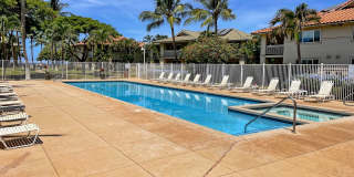 Beach Style 2 bed/2bath Luxury Condo - Finely Furnished - Steps from the Beach - Resort Amenities - Gallery 35