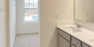 14229 Whistling Teal Drive Gallery 34