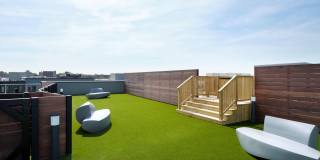 Birch House Gallery 35