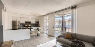 Rise Biltmore Gallery 36