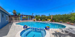15354 Black Shadow Drive Gallery 12