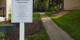 Beech's Farm Gallery 23
