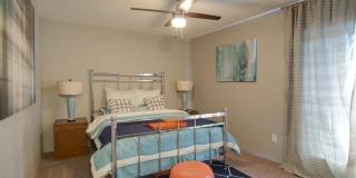 Hudson at Westchase Gallery 26