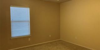 510 Indian Paintbrush Gallery 16