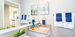 Vantage on Hillsborough Apartments Gallery 12