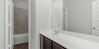 2434 Dry Moss Gallery 20