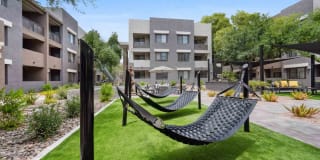 Zone Westgate Gallery 7