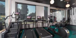 Skylar Grand Gallery 25