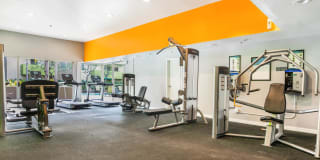 Hampshire Place Gallery 29