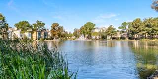 Lakes of Chateau Estates South Gallery 28