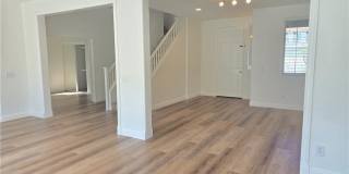 43717 Calabro Gallery 5