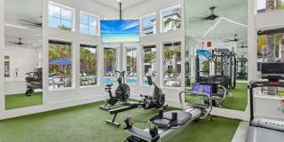 Bainbridge International Gallery 16