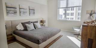 Vu New River Vu New River Gallery 51