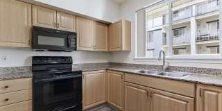 Logger Creek Gallery 4